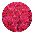 Hot Pink Rose Print Round Blanket