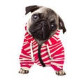 Hot Pink Zebra Pattern Print Dog Zip Up Hoodie