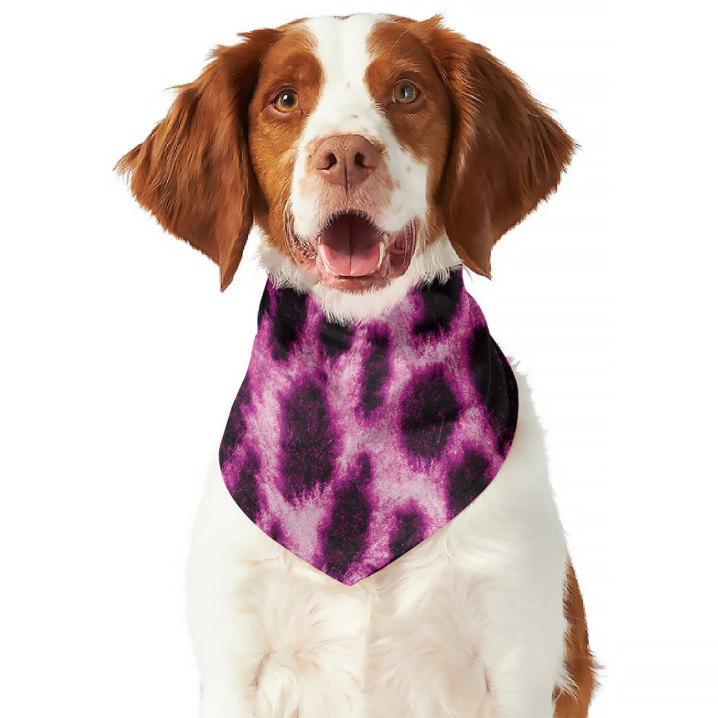 Hot Purple And Black Cheetah Print Dog Bandana