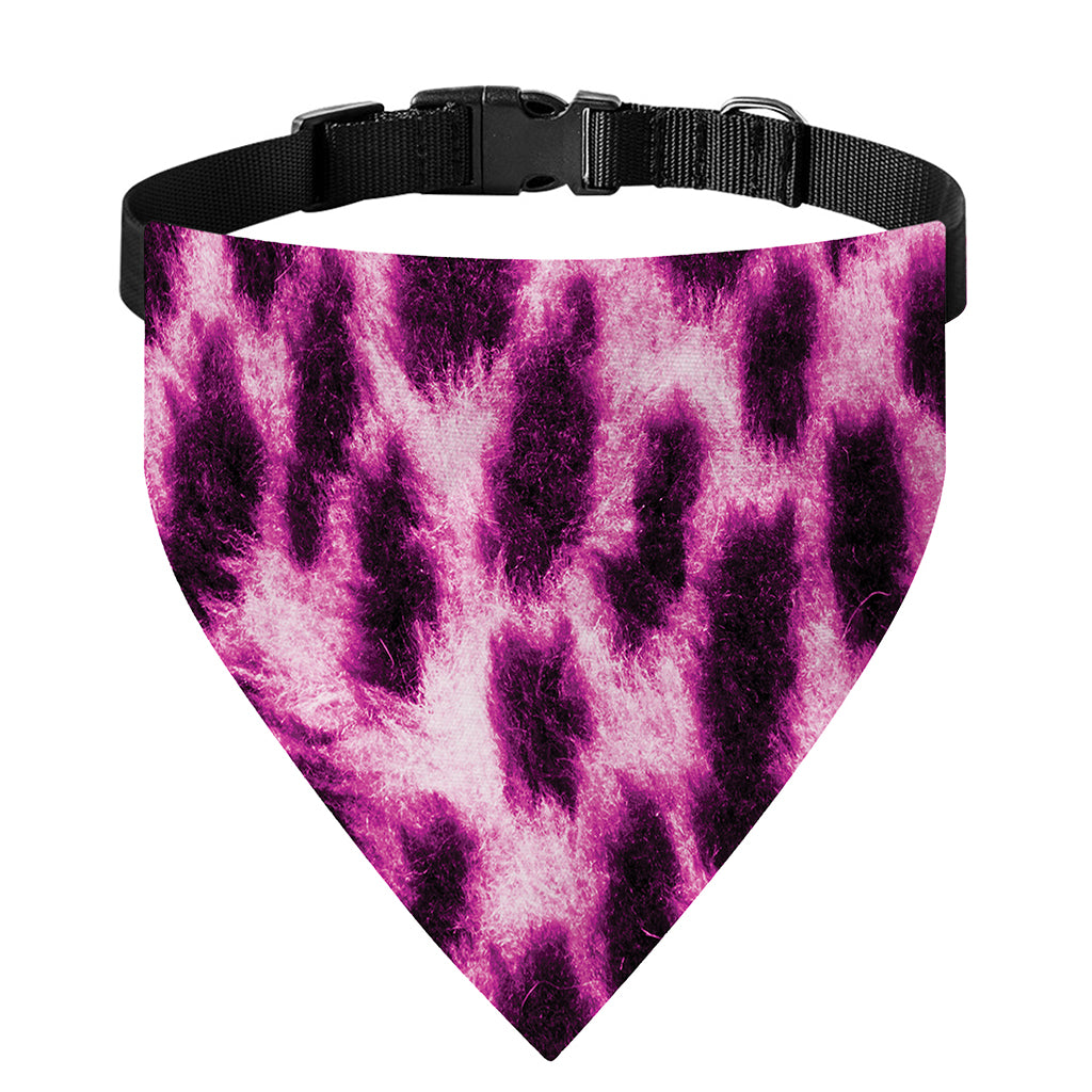 Hot Purple And Black Cheetah Print Over The Collar Dog Bandana