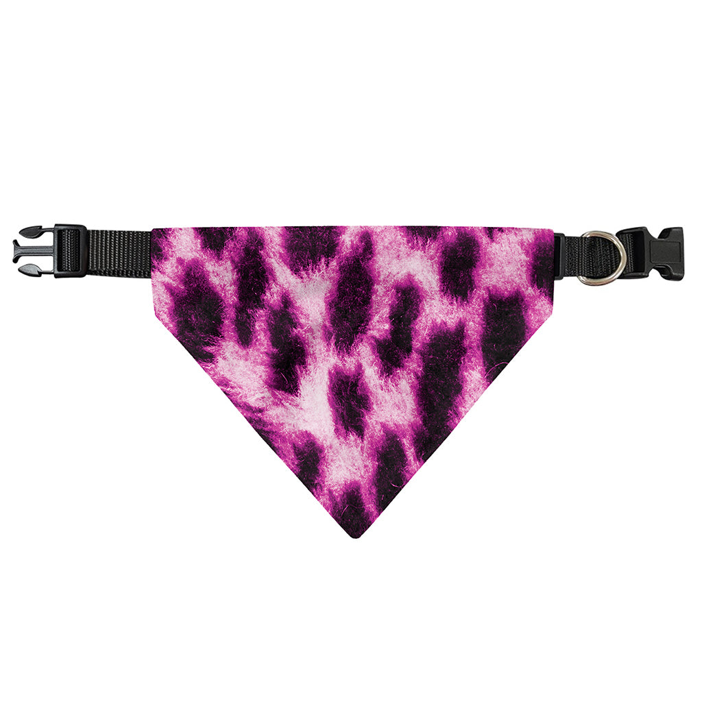 Hot Purple And Black Cheetah Print Over The Collar Dog Bandana