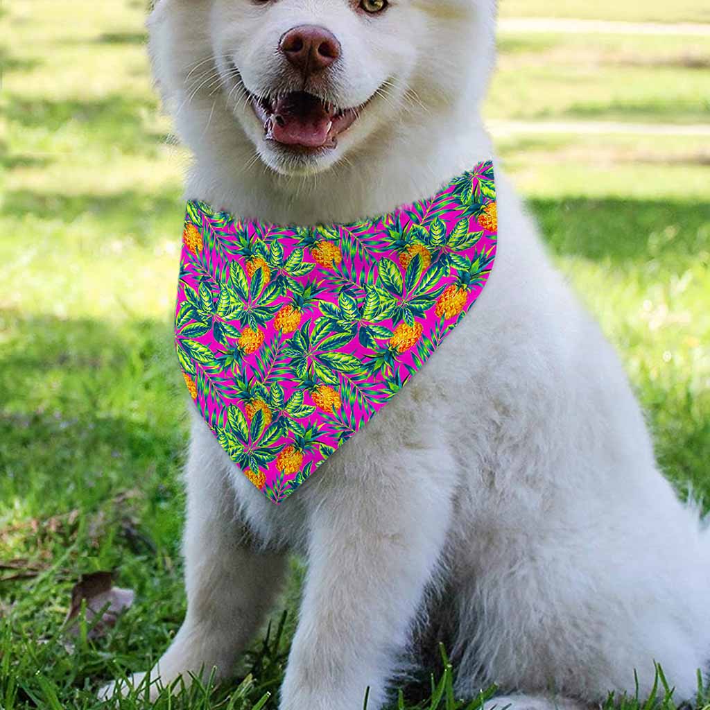 Hot Purple Pineapple Pattern Print Over The Collar Dog Bandana