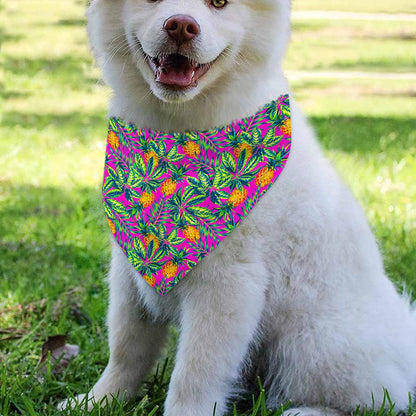 Hot Purple Pineapple Pattern Print Over The Collar Dog Bandana