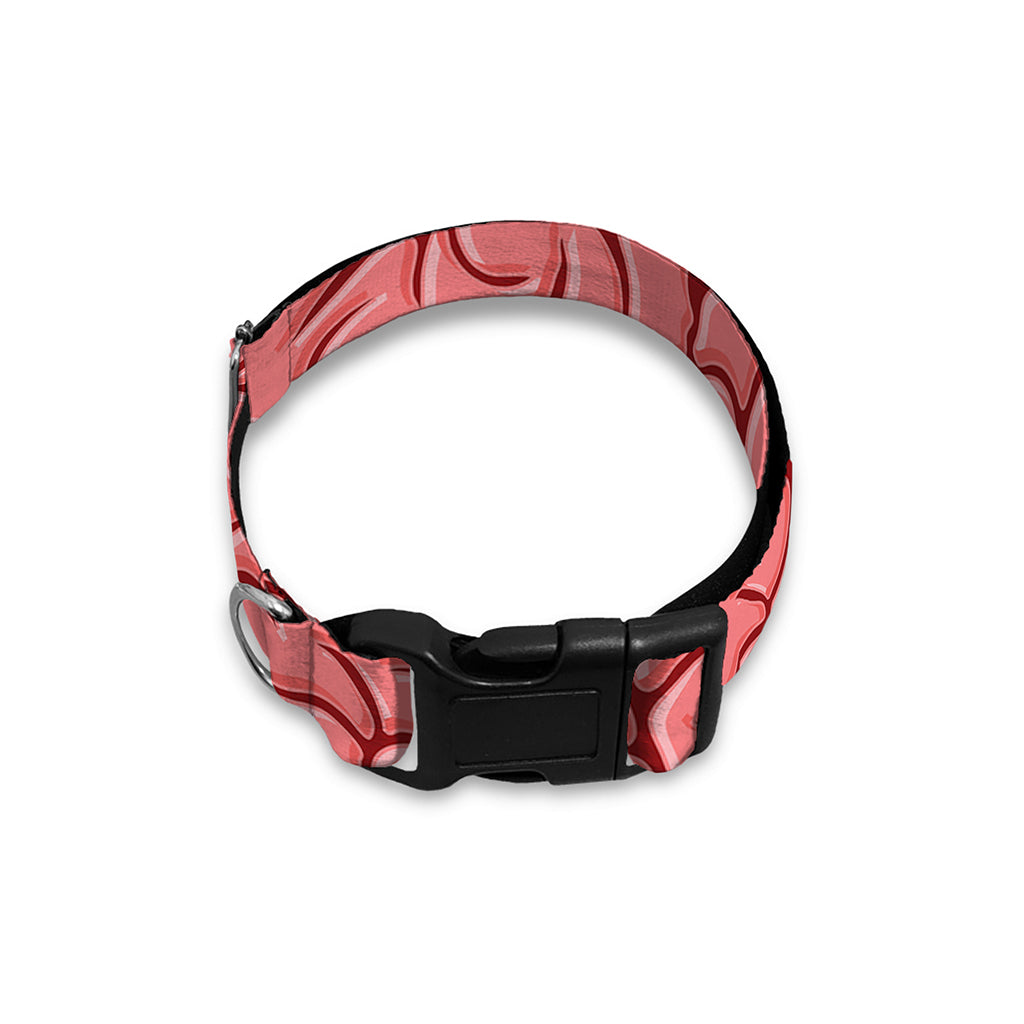 Human Brain Print Dog Collar
