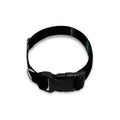 Human Skeleton X-Ray Print Dog Collar