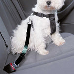 Human Skeleton X-Ray Print Dog Seat Belt