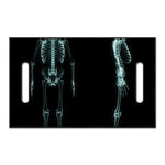 Human Skeleton X-Ray Print Golf Cart Seat Cover