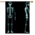 Human Skeleton X-Ray Print House Flag