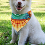 Illuminati Eye of Providence Print Over The Collar Dog Bandana