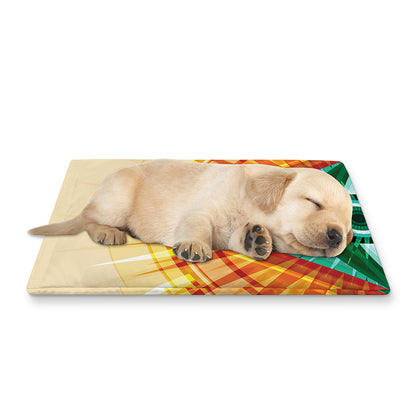 Illuminati Eye of Providence Print Pet Cooling Mat Cover