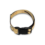 Illuminati Eye Print Dog Collar