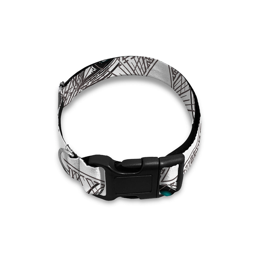 Illuminati Pattern Print Dog Collar