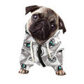 Illuminati Pattern Print Dog Zip Up Hoodie