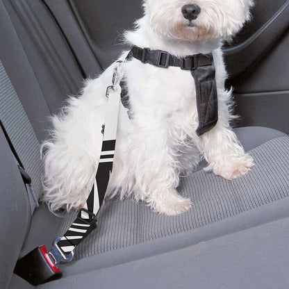 Illuminati Symbol Print Dog Seat Belt