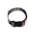 Indian Rose Paisley Pattern Print Dog Collar