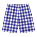 Indigo Blue And White Gingham Print Men's Swim Trunks