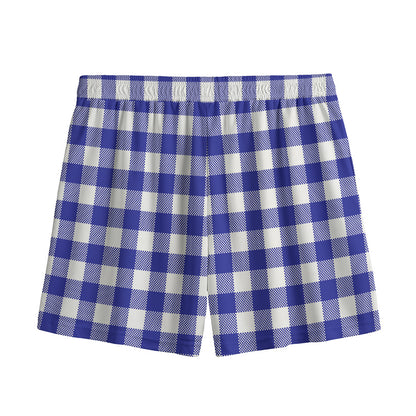 Indigo Blue And White Gingham Print Mesh Shorts