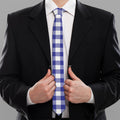 Indigo Blue And White Gingham Print Necktie