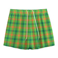 Irish Buffalo Plaid Pattern Print Mesh Shorts