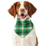 Irish Check Saint Patrick's Day Print Dog Bandana