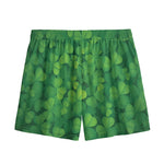 Irish Clover St. Patrick's Day Print Mesh Shorts