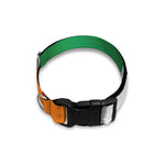 Irish Flag Print Dog Collar