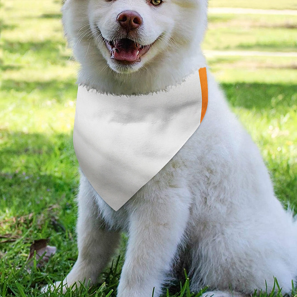 Irish Flag Print Over The Collar Dog Bandana