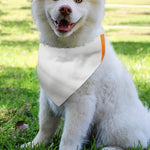 Irish Flag Print Over The Collar Dog Bandana