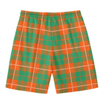 Irish Saint Patrick's Day Tartan Print Men's Swim Trunks