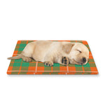 Irish Saint Patrick's Day Tartan Print Pet Cooling Mat Cover