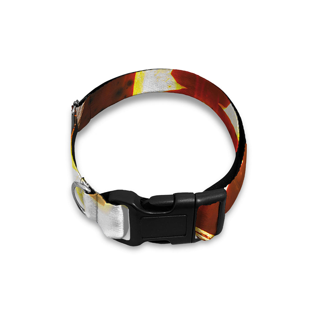 Jack-O'-Lantern Halloween Pumpkin Print Dog Collar