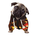Jack-O'-Lantern Halloween Pumpkin Print Dog Zip Up Hoodie