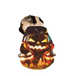 Jack-O'-Lantern Halloween Pumpkin Print Dog Zip Up Jacket