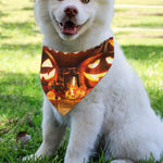 Jack-O'-Lantern Halloween Pumpkin Print Over The Collar Dog Bandana