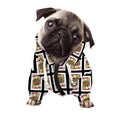 Jack Of Hearts Pattern Print Dog Zip Up Hoodie