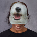Jack Russell Terrier Portrait Print Baseball Cap