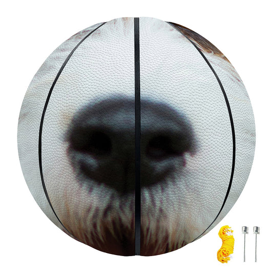 Jack Russell Terrier Portrait Print Basketball
