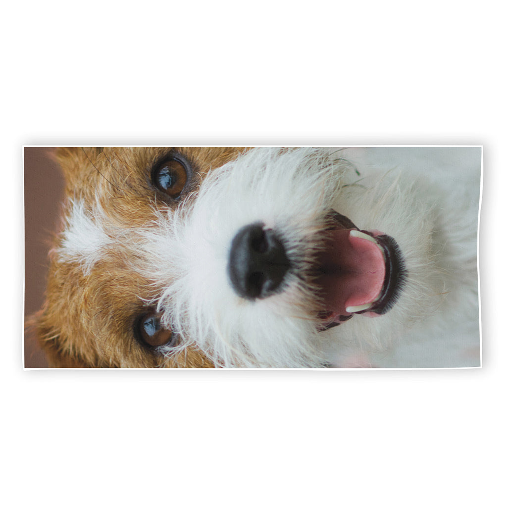 Jack Russell Terrier Portrait Print Beach Towel