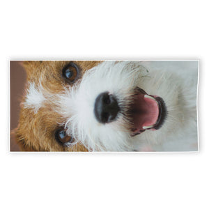 Jack Russell Terrier Portrait Print Beach Towel