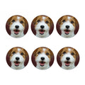 Jack Russell Terrier Portrait Print Coaster Set