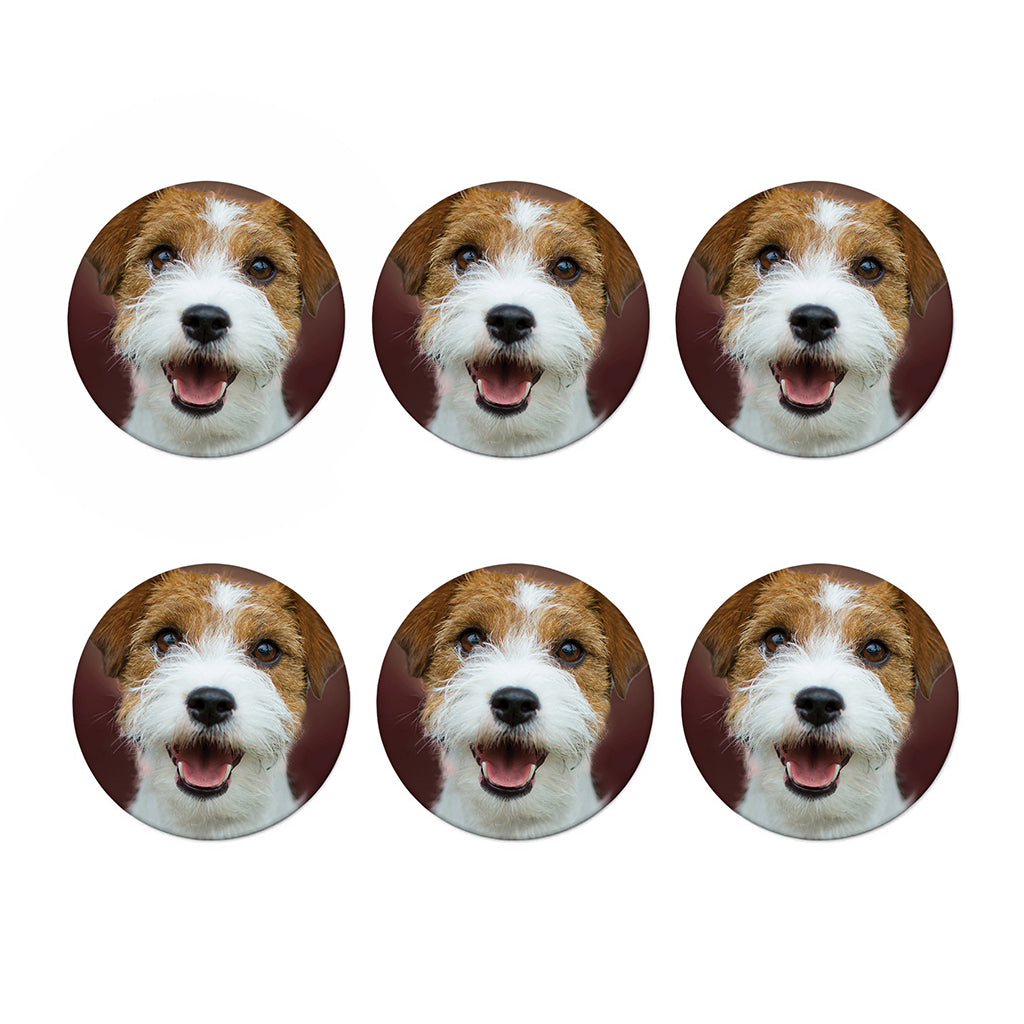 Jack Russell Terrier Portrait Print Coaster Set