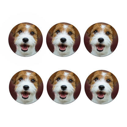 Jack Russell Terrier Portrait Print Coaster Set