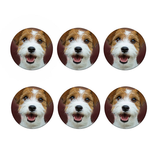 Jack Russell Terrier Portrait Print Coaster Set