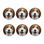 Jack Russell Terrier Portrait Print Coaster Set