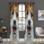 Jack Russell Terrier Portrait Print Curtain