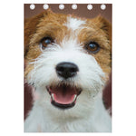 Jack Russell Terrier Portrait Print Curtain