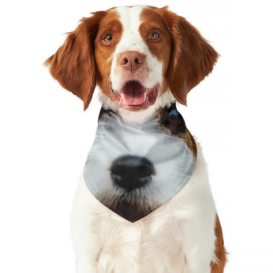 Jack Russell Terrier Portrait Print Dog Bandana