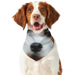 Jack Russell Terrier Portrait Print Dog Bandana