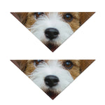 Jack Russell Terrier Portrait Print Dog Bandana