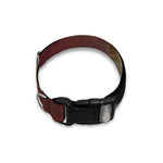 Jack Russell Terrier Portrait Print Dog Collar